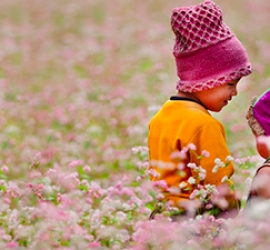 Yên Tử - Hạ Long - Bái Đính - Tràng An - Sapa - Fansipan 2019